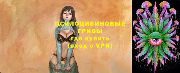Альфа ПВП Аркадак