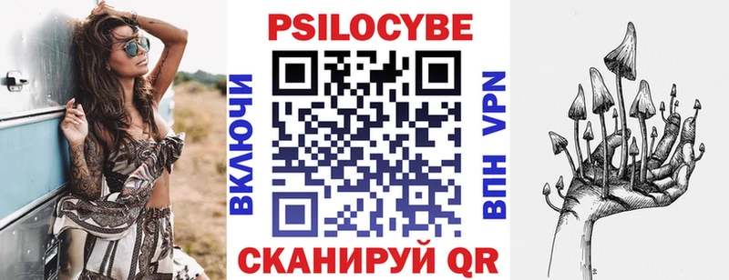 Псилоцибиновые грибы Psilocybine cubensis  цена   Грязи 